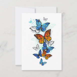 Flying Butterflies Morpho and Monarch Announcement