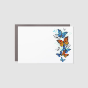 Flying Butterflies Morpho and Monarch Car Magnet