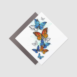 Flying Butterflies Morpho and Monarch Car Magnet