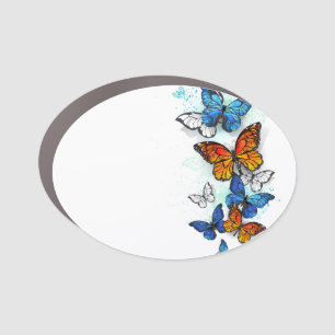 Flying Butterflies Morpho and Monarch Car Magnet