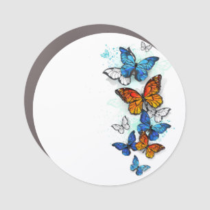 Flying Butterflies Morpho and Monarch Car Magnet