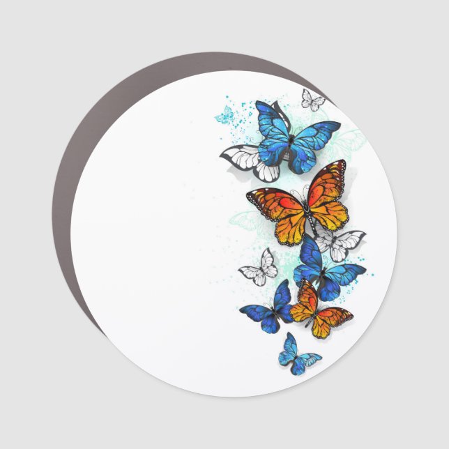 Flying Butterflies Morpho and Monarch Car Magnet (Front)