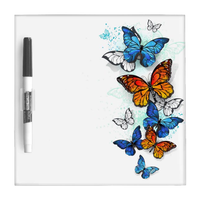 Flying Butterflies Morpho and Monarch Dry Erase Board (Front)