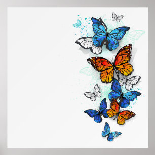 Flying Butterflies Morpho and Monarch Holder