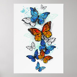 Flying Butterflies Morpho and Monarch Holder