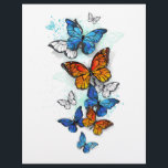 Flying Butterflies Morpho and Monarch Letterhead<br><div class="desc">Flying,  bright,  blue butterfly morpho and orange monarch butterfly on a white background. Morpho. Monarch butterfly. Design with butterflies.</div>