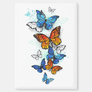 Flying Butterflies Morpho and Monarch Magnet