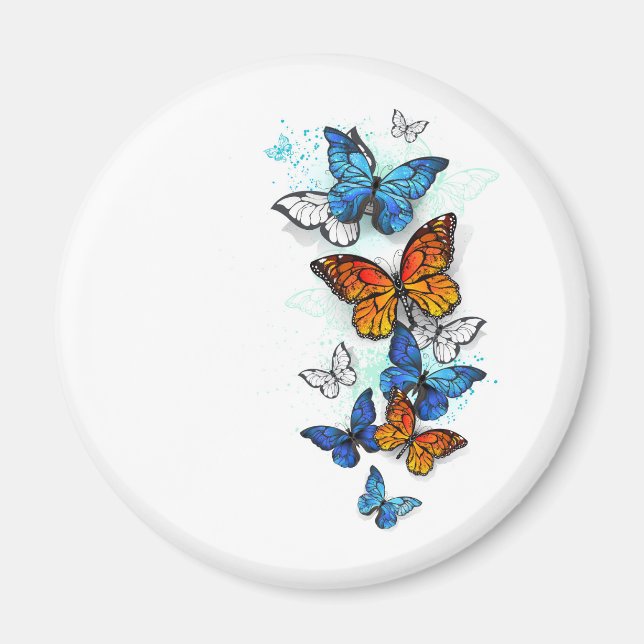 Flying Butterflies Morpho and Monarch Magnet (Front)