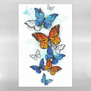 Flying Butterflies Morpho and Monarch Magnetic Dry Erase Sheet
