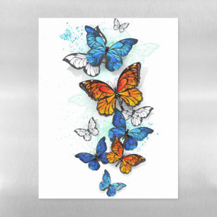 Flying Butterflies Morpho and Monarch Magnetic Dry Erase Sheet