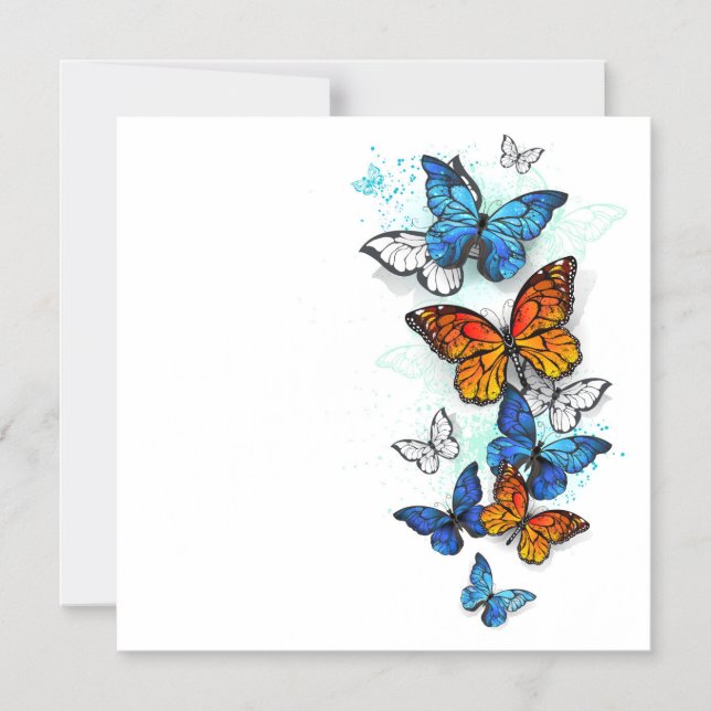Flying Butterflies Morpho and Monarch Magnetic Invitation (Front)