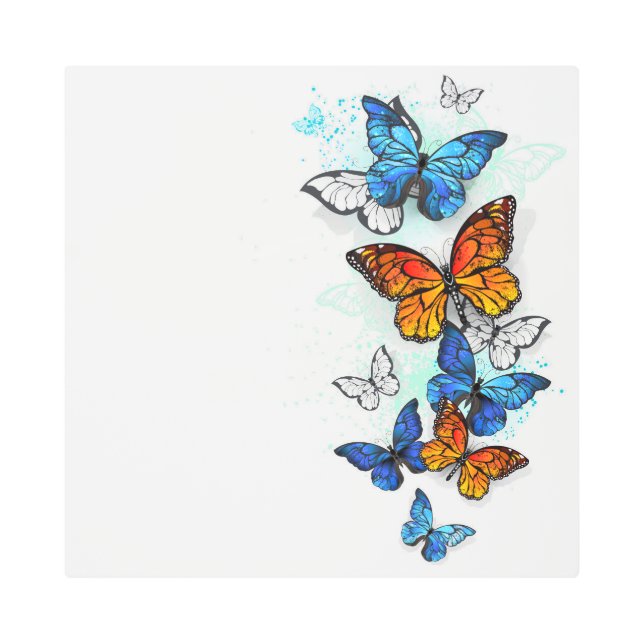 Flying Butterflies Morpho and Monarch Metal Print (Front)