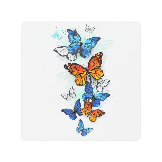 Flying Butterflies Morpho and Monarch Metal Print (Front)