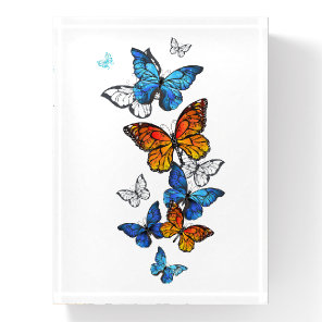 Flying Butterflies Morpho and Monarch Paperweight