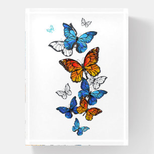 Flying Butterflies Morpho and Monarch Paperweight