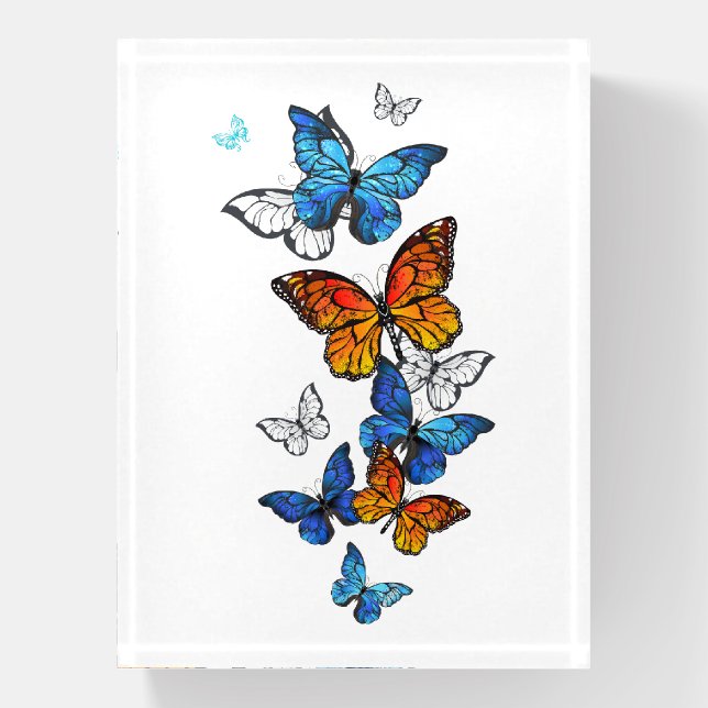 Flying Butterflies Morpho and Monarch Paperweight (Vertical)