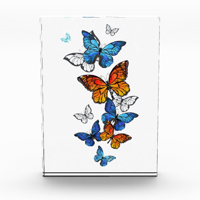 Flying Butterflies Morpho and Monarch Photo Block (Front)