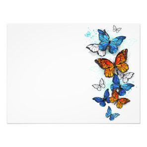 Flying Butterflies Morpho and Monarch Photo Print