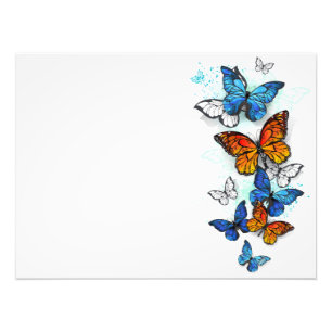 Flying Butterflies Morpho and Monarch Photo Print