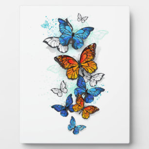 Flying Butterflies Morpho and Monarch Plaque