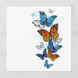 Flying Butterflies Morpho and Monarch Program