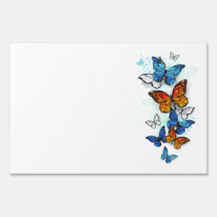 Flying Butterflies Morpho and Monarch Sign