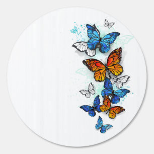 Flying Butterflies Morpho and Monarch Sign