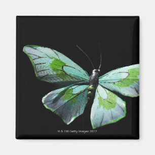 Flying butterfly magnet