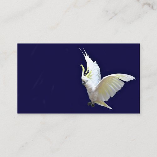 Flying cockatiel business card