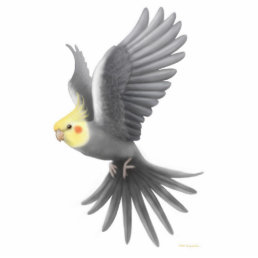 Flying Cockatiel Parrot Pin Cutout