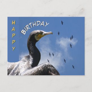 Flying Cormorants Happy Birthday Postcard