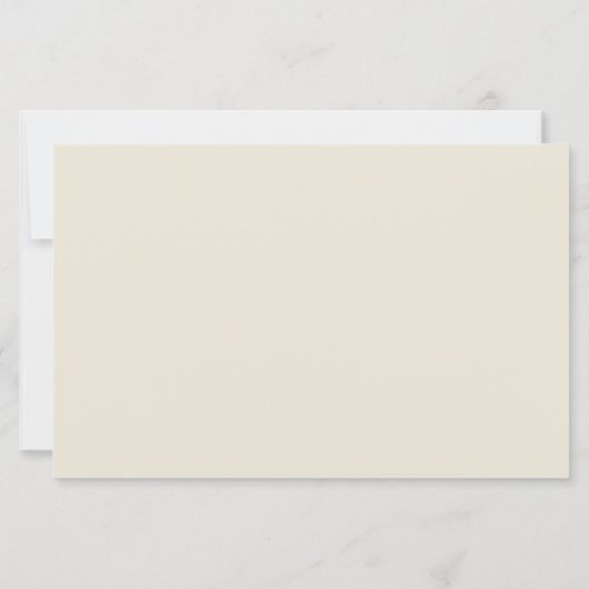 Flying Cranes: Japanese Bird Kimono Art (Back)