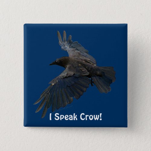 FLYING CROW I Speak Crow Wildlife Bird Art Pinback Button