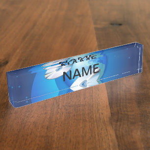 Flying Disks Name Plate