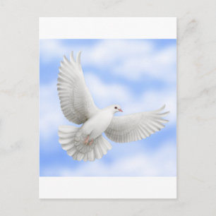 Flying Dove Postcard