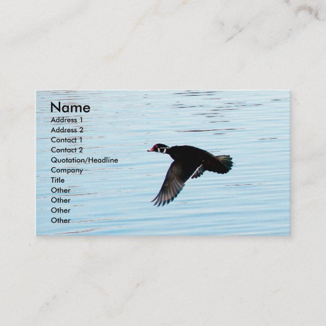 Flying Duck Business Card (Front)
