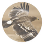 Flying Eagle Bird Sticker