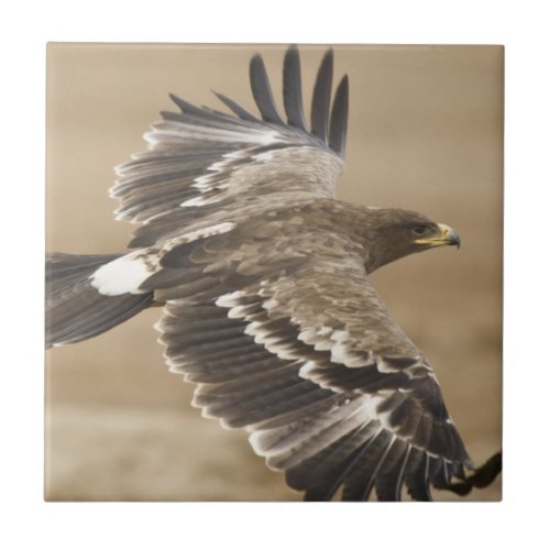 Flying Eagle Bird Tile