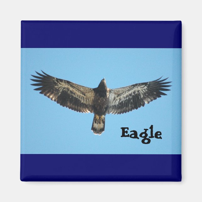 Flying Eagle Magnet (Front)