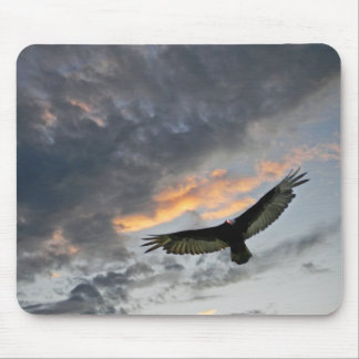 Flying Eagle Mouse Pad