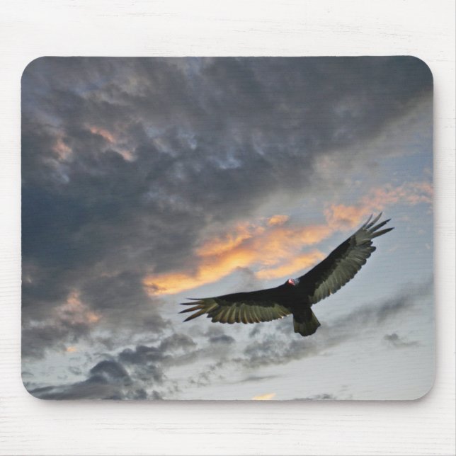 Flying Eagle Mouse Pad (Front)