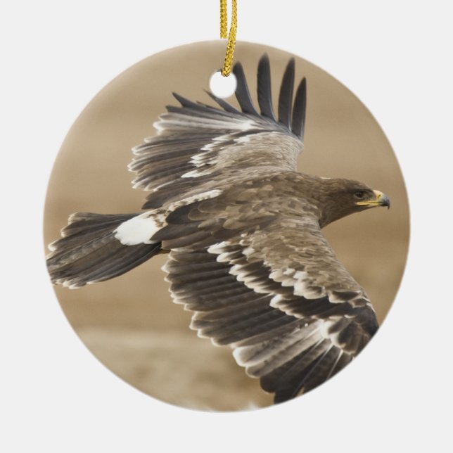 Flying Eagle Ornament (Front)