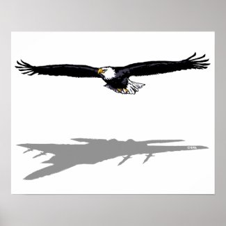 Flying Eagle Poster