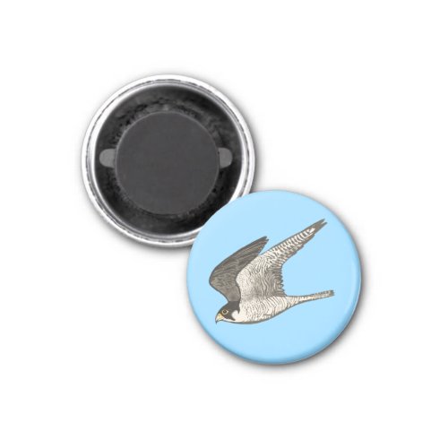Flying Falcon on Blue Magnet
