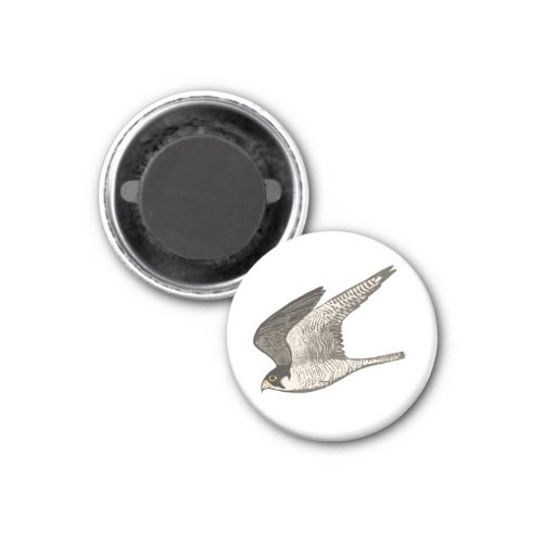 Flying Falcon on White Magnet