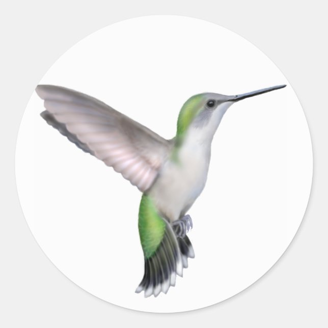 Flying Female Ruby Throated Hummingbird Sticker (Front)