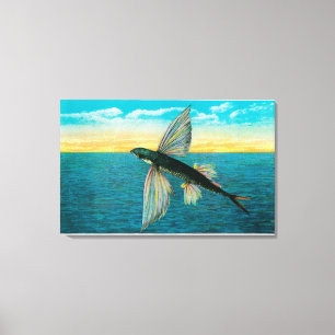 Flying Fish at Catalina Island Canvas Print
