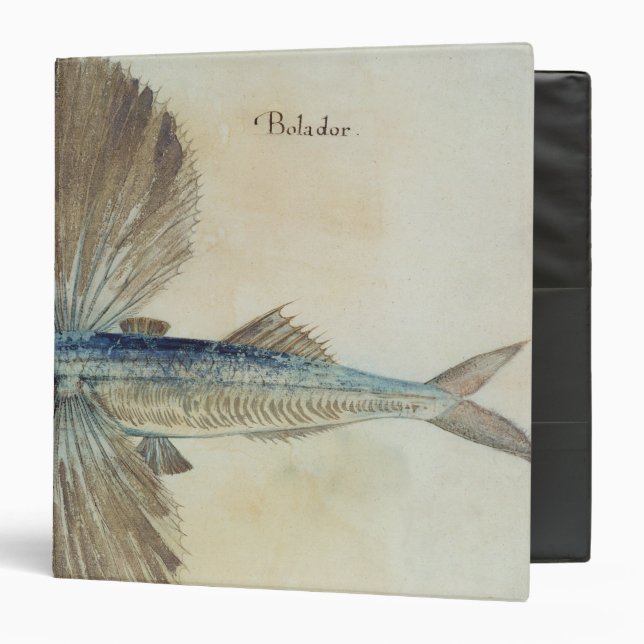 Flying-Fish Binder (Front/Inside)