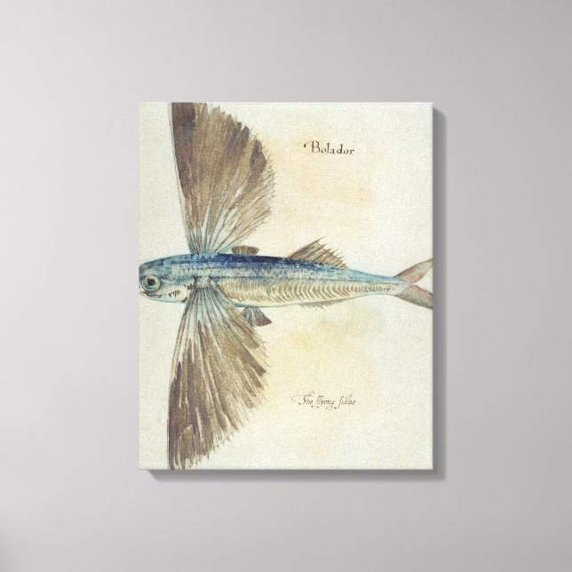 Flying-Fish Canvas Print (Front)