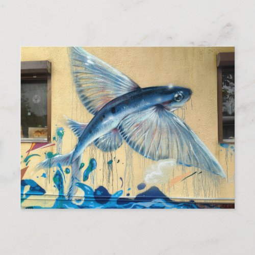 Flying Fish No2 Postcard